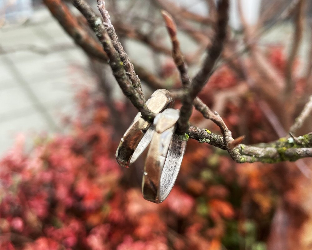 We See The Unseen - franny e