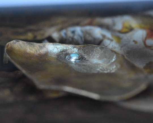 One of One—Turquoise Eye Treasure Tray