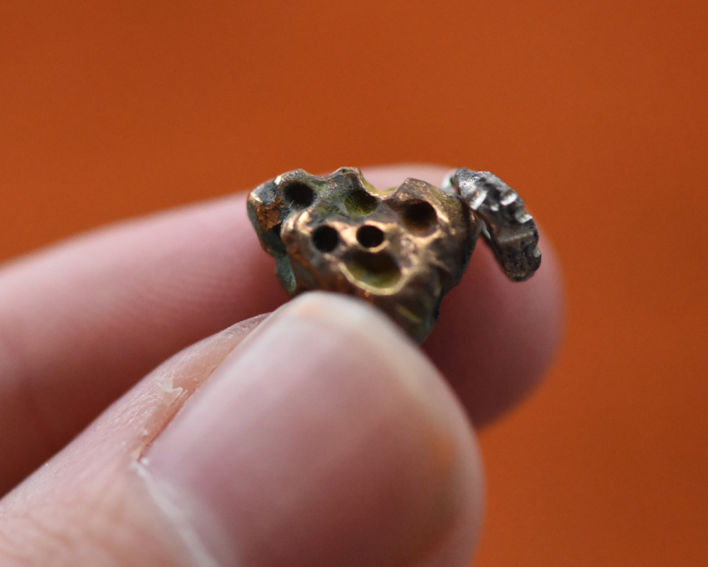 One of One—Moldy Cheese Charm