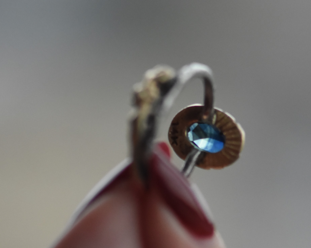 One of One—A Muse Watched Over Us on 07/10/2024 & Then Travelled With Us to Paris