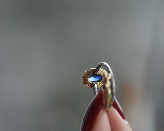 One of One—A Muse Watched Over Us on 07/10/2024 & Then Travelled With Us to Paris