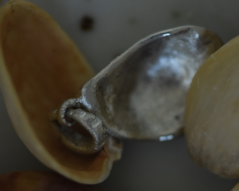 One of One—A Pistachio Shell in Paris Charm