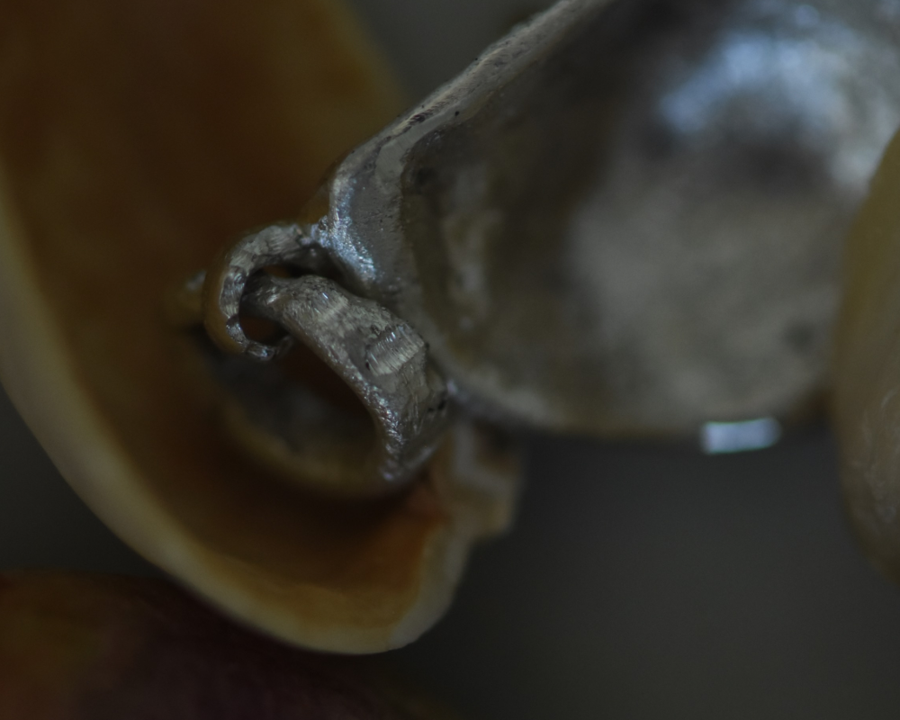 One of One—A Pistachio Shell in Paris Charm