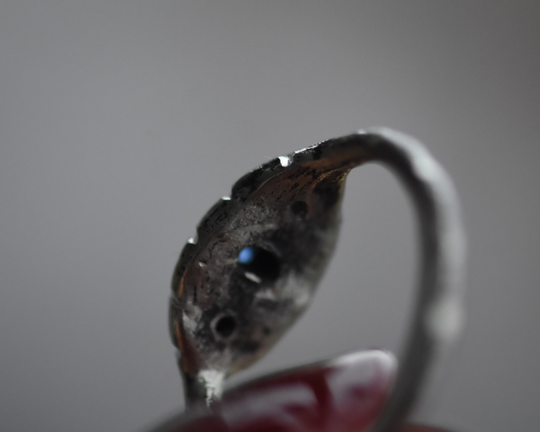 One of One—A Palette Like Bow’s Blueberries Ring