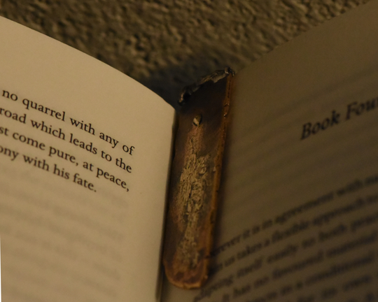 One of One—Dreaming Muse Bookmark